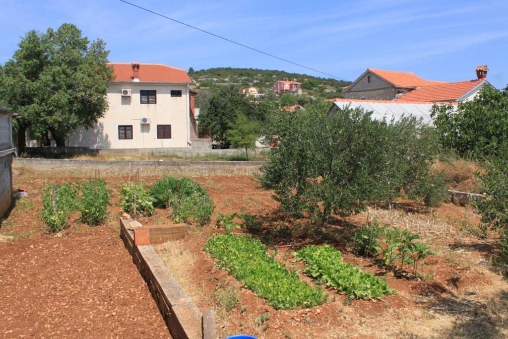 Apartments With A Parking Space Sali, Dugi Otok - 8172 מראה חיצוני תמונה